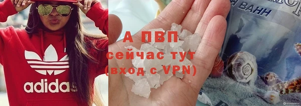 сатива Богданович