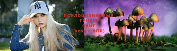 прущие грибы Богородицк