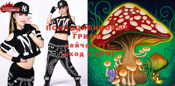 2c-b Белокуриха