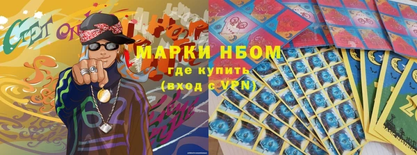 прущие грибы Богородицк