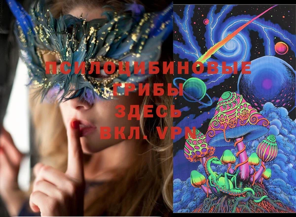 2c-b Белокуриха