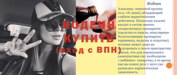 прущие грибы Богородицк