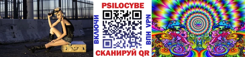 Псилоцибиновые грибы Psilocybe  купить наркотик  кракен зеркало  Олёкминск 